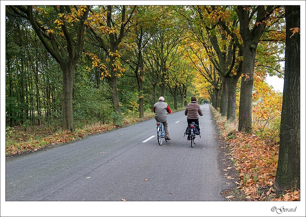 20131019_0034.jpg - Heerlijk fietsen op de Beverbeekse Heide