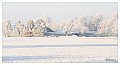 Sneeuwlandschap Winter 3 : Hamont, Winter
