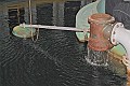 Watertoren 20080413 15