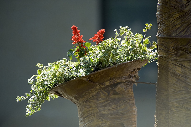 Gerard__20100519_038.JPG - De bloemschiksters van de Volkstuin hebben goed werk geleverd