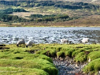 20120922 0314  Loch Slapin : Schotland