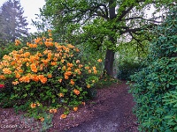 20190501 0025 : Bokrijk