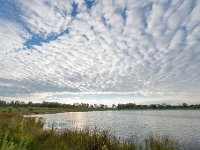 20160728 0017 : Leenderheide