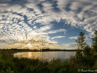 20160728 44 49 1 : Leenderheide