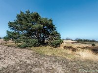 20170409 0001 : Leenderheide