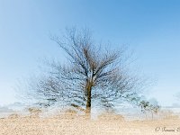 20170409 0012 : Leenderheide