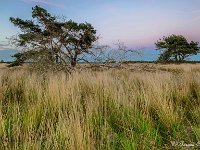 20170625 0133-HDR : Leenderheide, Nederland, Plaatsen, Valkenswaard