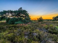 20170712 0087-HDR : Leenderheide, Nederland, Plaatsen, Valkenswaard