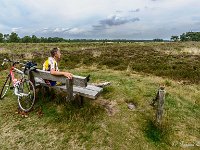 20170816 0039 : Leenderheide