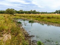 20170904 0019-HDR : Leenderheide, Nederland, Plaatsen, Valkenswaard