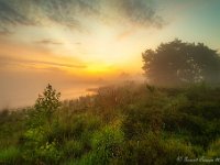 20180528 0029-HDR : Leenderheide, Nederland, Plaatsen, Valkenswaard