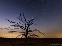 20180802 0058 : Leenderheide