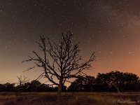 20180807 0065 : Leenderheide