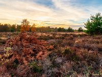 20181106 0121-HDR : Leenderheide, Nederland, Plaatsen, Valkenswaard