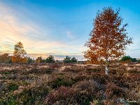 20181106 0169-HDR : Leenderheide, Nederland, Plaatsen, Valkenswaard