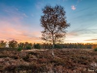 20181106 0200 : Leenderheide