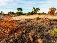 20181114 0020 : Leenderheide