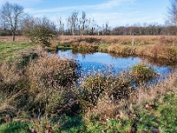 20191218 0007 : Leenderheide