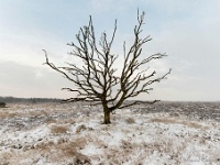 20210208 0112 : Leenderheide