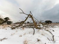 20210208 0139 : Leenderheide