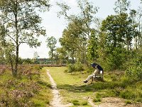 Leenderheide  20100828 0032 : Leenderheide