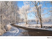 Winter in de Achterhoek : Achterhoek, Hamont