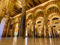 20200227 0114  Mezquita Andalusië : Andalusie 2020, Mezquita, Cordoba