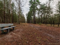 20210204 0075  Beverbeekse Heide : Achel Trappistenwandeling 2021