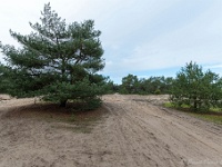 20210204 0100  Stichting Beekenbos : Achel Trappistenwandeling 2021