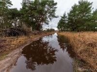 20210204 0121  Stichting Beekenbos : Achel Trappistenwandeling 2021