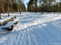 20210213 0143 : Achel Trappistenwandeling 2021