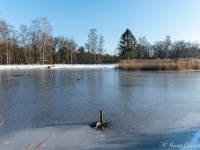 20210211 0107 : Beverbeek Tomp wandeling 2021