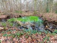 20210121 0022  Verkensbos : Chimay Trappisten wandelroute 2021, Verkensbos