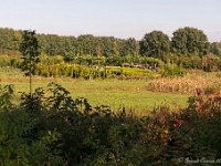 20161009 0169 : In het voetspoor van de Teuten 2016