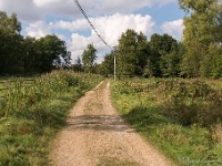 20161009 0283 : In het voetspoor van de Teuten 2016