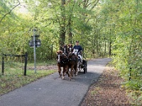 20161009 0316 : In het voetspoor van de Teuten 2016