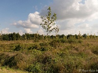 20161009 0342 : In het voetspoor van de Teuten 2016