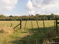 20161009 0348 : In het voetspoor van de Teuten 2016