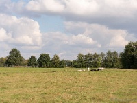 20161009 0349 : In het voetspoor van de Teuten 2016