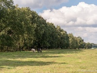 20161009 0369 : In het voetspoor van de Teuten 2016