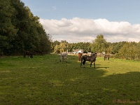 20161009 0406 : In het voetspoor van de Teuten 2016