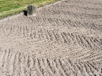 20161009 0438 : In het voetspoor van de Teuten 2016