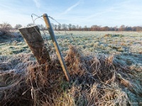 20181226 0047  Ferm koud.... : Wandelingen, Kerstwandeling Kerstmis 2018