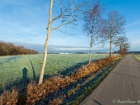 20181226 0086  De open velden van de Hees. : Wandelingen, Kerstwandeling Kerstmis 2018