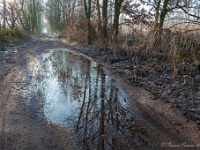 20181226 0096  ... toch vind ik deze weg mooier... : Wandelingen, Kerstwandeling Kerstmis 2018