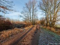 20181226 0113  ... ... : Wandelingen, Kerstwandeling Kerstmis 2018