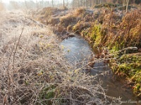 20181226 0123  ... ... : Wandelingen, Kerstwandeling Kerstmis 2018