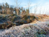 20181226 0131  ... ... : Wandelingen, Kerstwandeling Kerstmis 2018