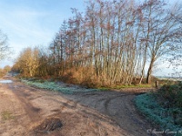 20181226 0133  Weg van de Millitaire Dijk terug het veld in. : Wandelingen, Kerstwandeling Kerstmis 2018