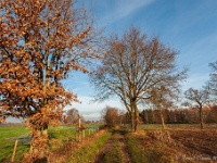 20181226 0150  ... ... : Wandelingen, Kerstwandeling Kerstmis 2018